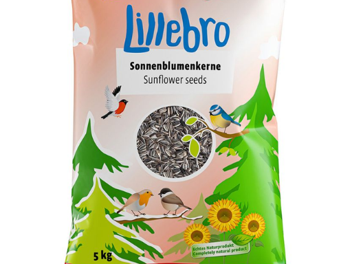 Graines de tournesol pour oiseaux sauvages