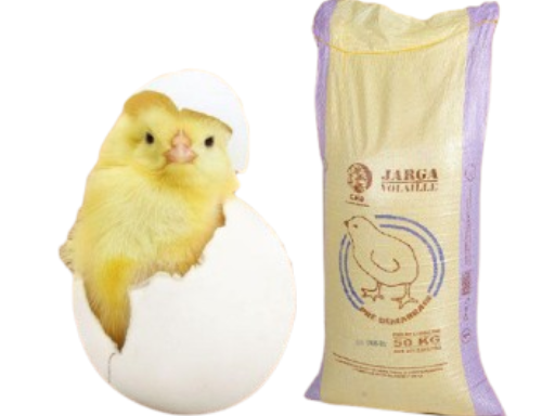 Jarga Volaille Prédémarrage