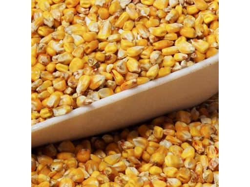 Maïs entier