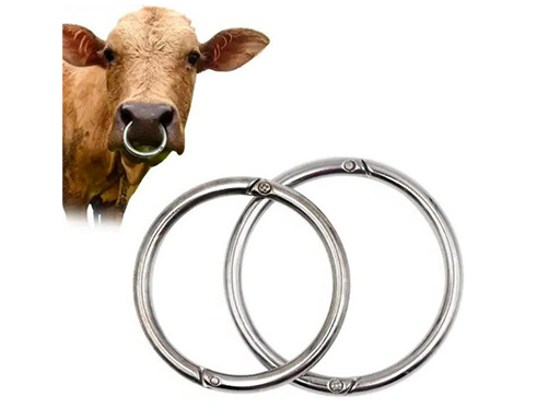 ANNEAU DE FOURMI EN ACIER INOXYDABLE POUR LE BÉTAIL