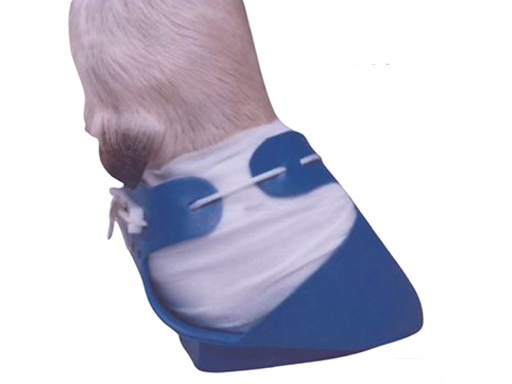 POUSSE DE BÉTAIL LAISSÉE SURÉLEVÉE