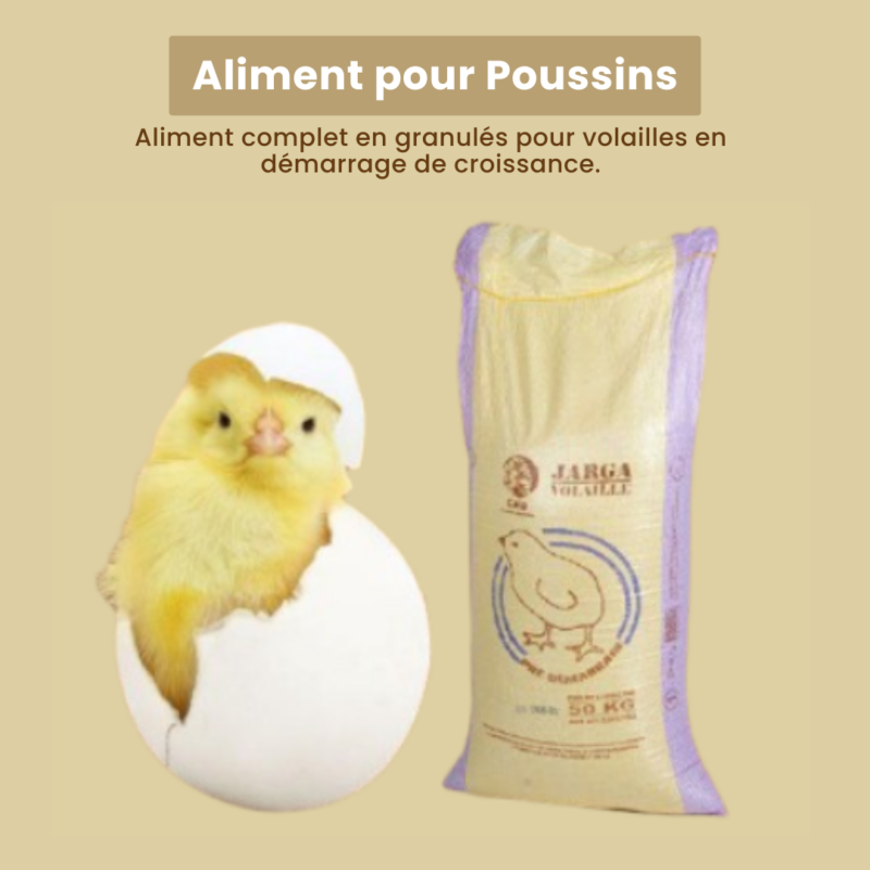 Aliment pour Poussins