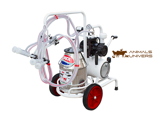 DOUBLE MACHINE À TRAITE ET BIDON À LAIT 30L