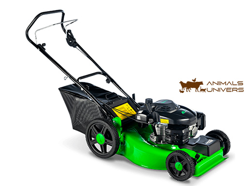 LF - 55 TONDEUSE À GAZON