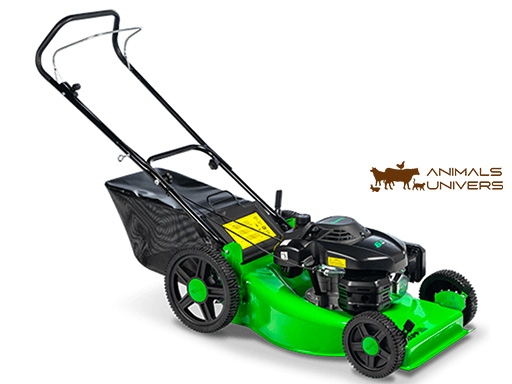 LF - 65 WT TONDEUSE À GAZON