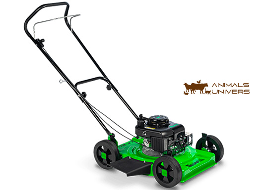 LF - 80 G TONDEUSE À GAZON