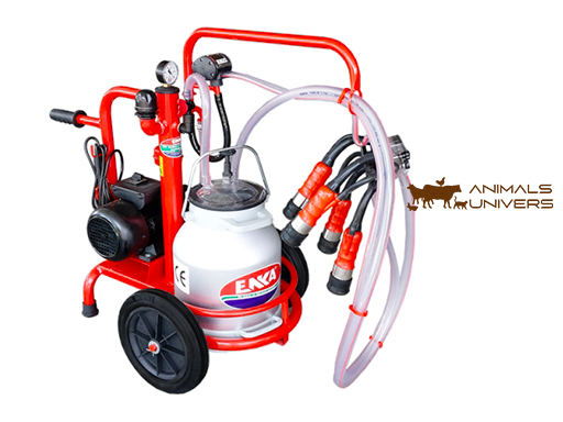 MACHINE À TRAIRE POUR 1 VACHE 1*20L S/S GODET TYPE SEC