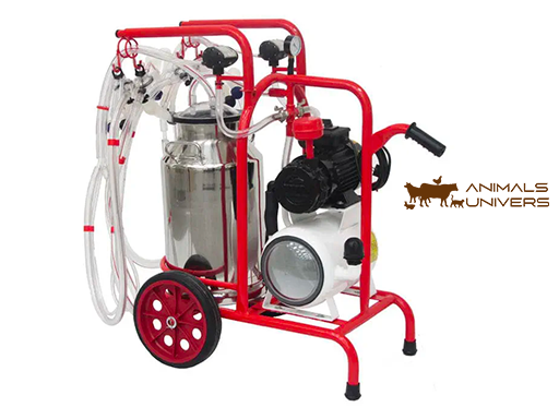 MACHINE À TRAITE POUR 2 VACHE 1x40L S/SGODETTYPE SEC