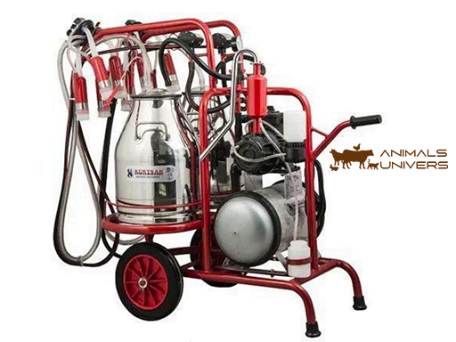 MACHINE MOBILE DOUBLE TRAITE DOUBLE SEAU 200LT TYPE HUILE