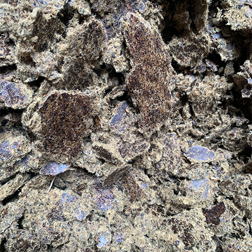 Tourteau de coton (Corail)