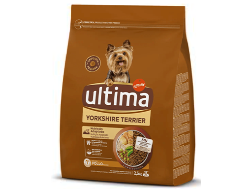 Ultima yorkshire terrier