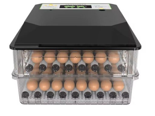 Couveuse automatique 160 oeufs