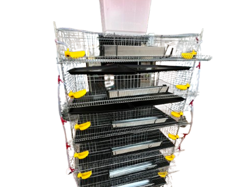 Cage pour cailles 250 sujets