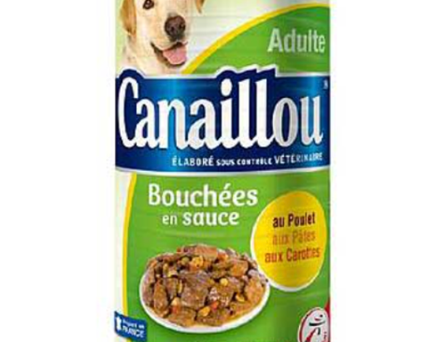 Canaillou bouchées en gelées