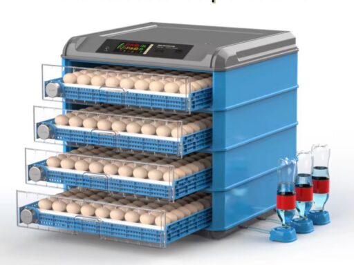 Couveuse automatique 400 oeufs