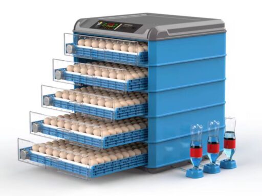 Couveuse automatique 500 oeufs
