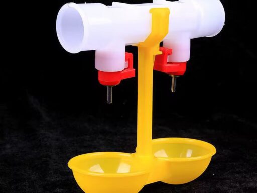 Abreuvoir pipette tétine