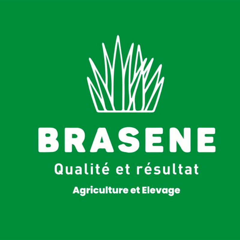 Logo Brasene