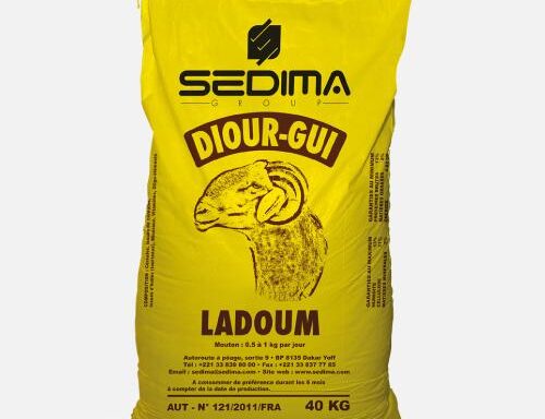 Diour Gui Ladoum